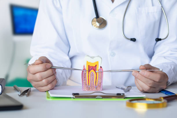 Best Dentist for Tooth Abscess  in Mount Union, PA